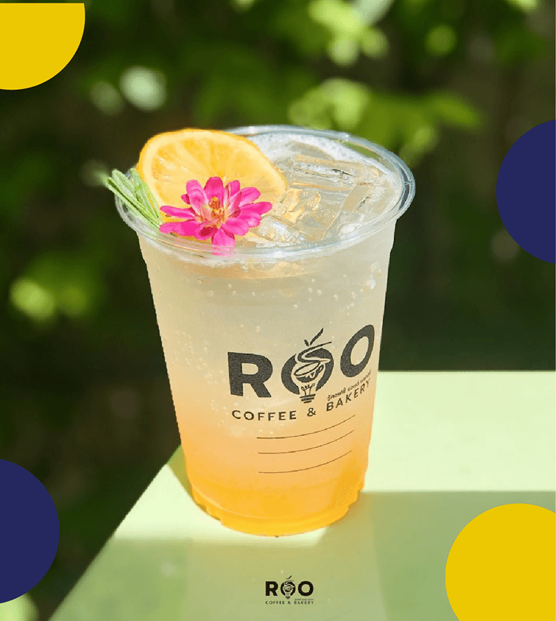 Roo Project